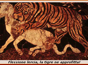 USCITO IL CDF N. 05/2005