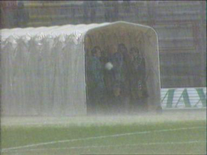 Foto della giornata